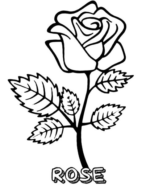 Tranhto24h: Hoa hồng tô màu tặng mẹ, 486x600px