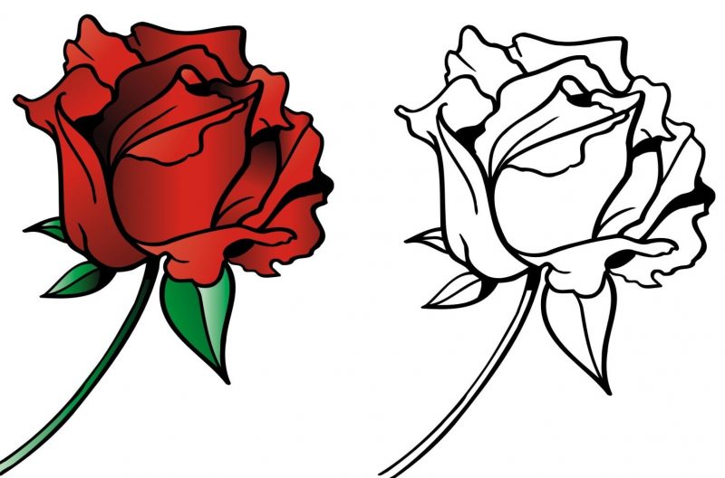 Tranhto24h: Tranh tô màu hoa hồng có hình mẫu, 800x528px