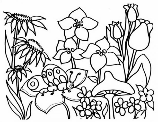 Tranhto24h: Tranh tô màu vườn hoa trong rừng, 650x503px