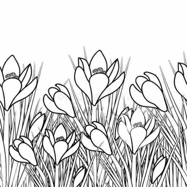 Tranhto24h: Tranh tô màu vườn hoa rơn, 600x600px