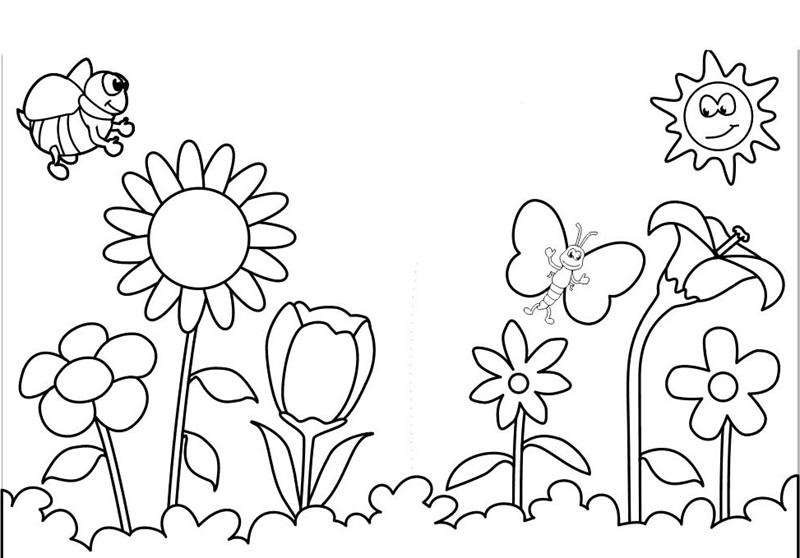 Tranhto24h: Tranh tô màu vườn hoa và bọ hung, 800x558px