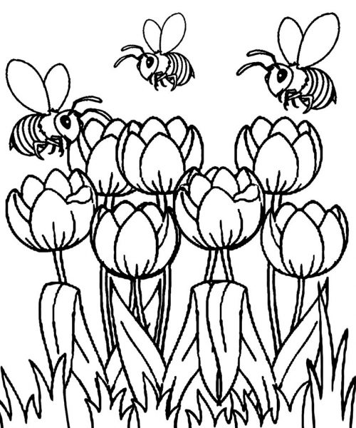 Tranhto24h: Tranh tô màu vườn hoa và ong, 500x600px