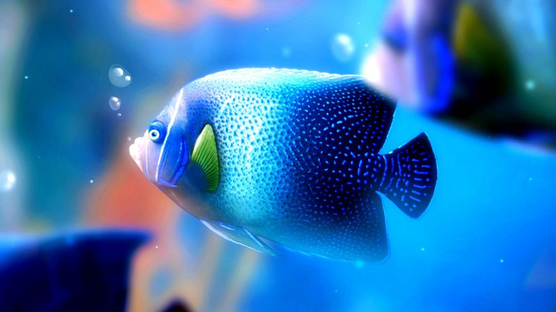 Tranhto24h: Hình nền cá 3D màu xanh độc lạ, 800x450px