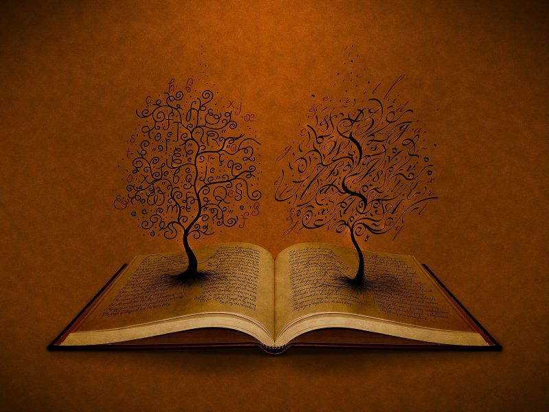 Tranhto24h: background sách book cây mọc từ sách, 800x600px