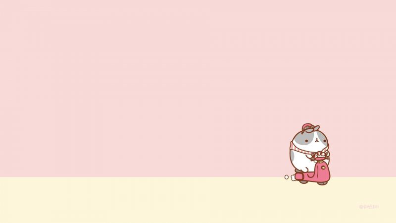 Tranhto24h: Background cute Pink, 800x450px