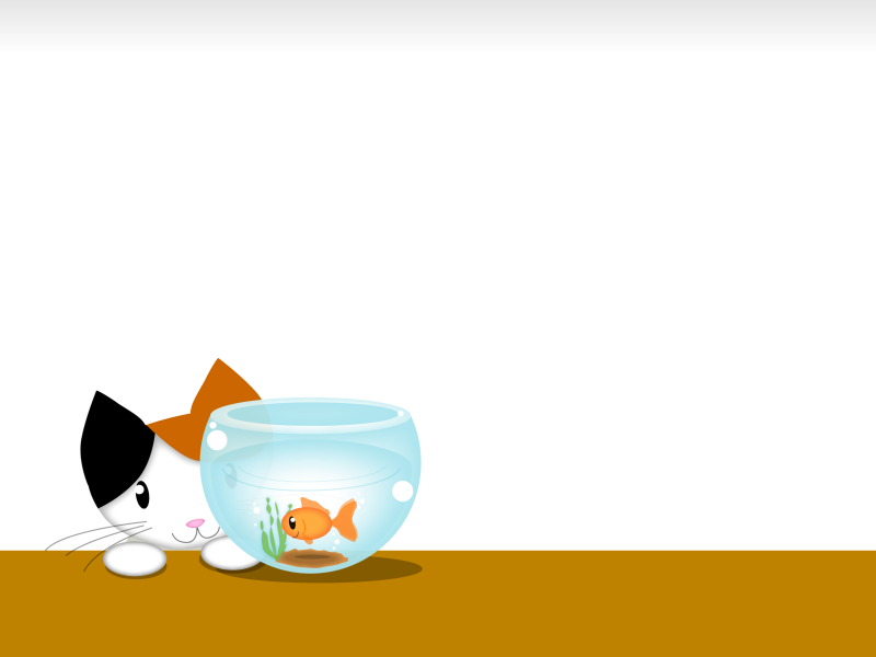 Tranhto24h: background dễ thương chú mèo và bể cá, 800x600px