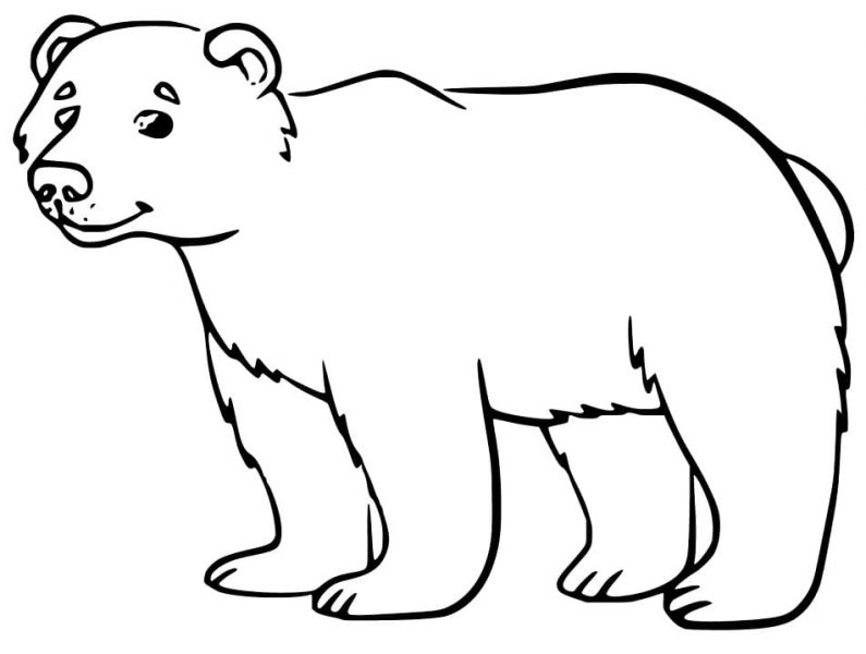 Tranhto24h: Tranh tô màu con gấu bắc cực, 795x600px