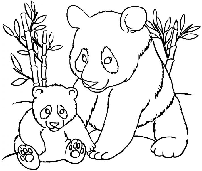 Tranhto24h: Hình tô màu con gấu mẹ và gấu con, 711x600px