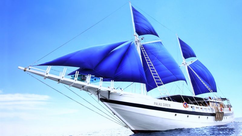 Tranhto24h: ảnh thuyền buồm màu xanh hùng vĩ nhất, 800x450px