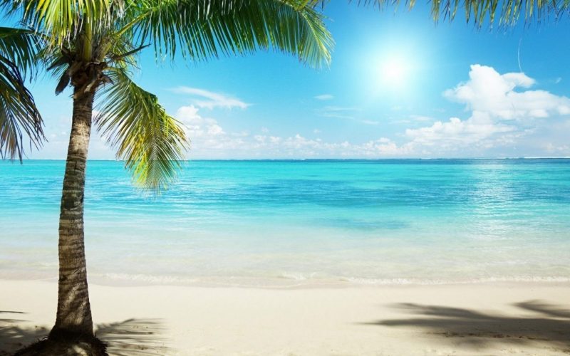 Tranhto24h: Background biển Background Beach xanh cát trắng, 800x500px