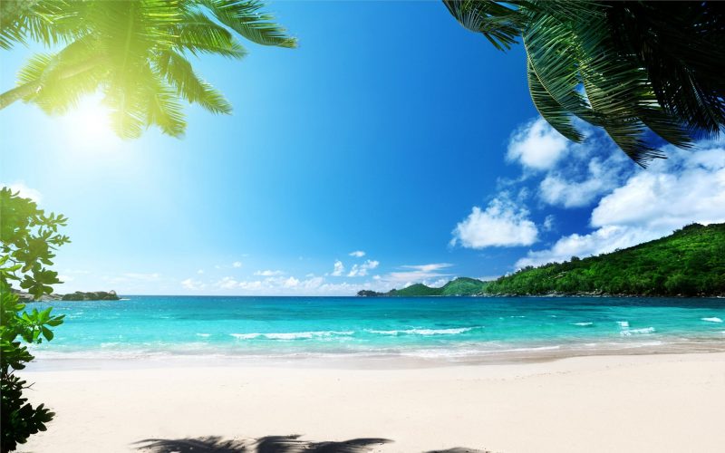Tranhto24h: Background biển Background Beach nắng vàng, 800x500px