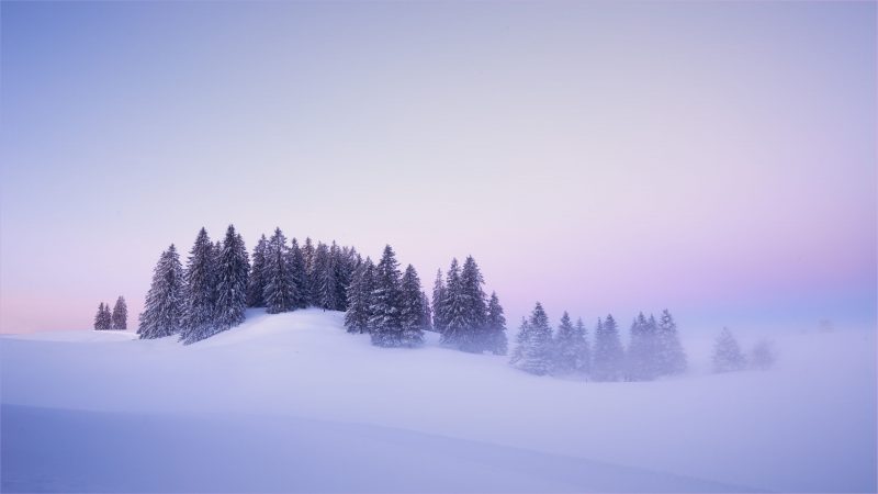 Tranhto24h: Hình nền 4K sương mù và tuyết trắng trên đồi cây mùa đông 3840x2160 pixels, 800x450px