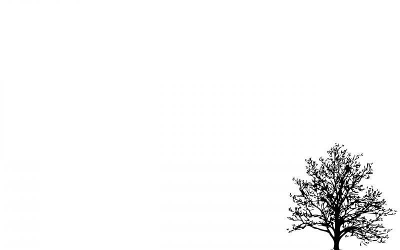 Tranhto24h: hình nền màu trắng cây nhiều lá, 800x500px