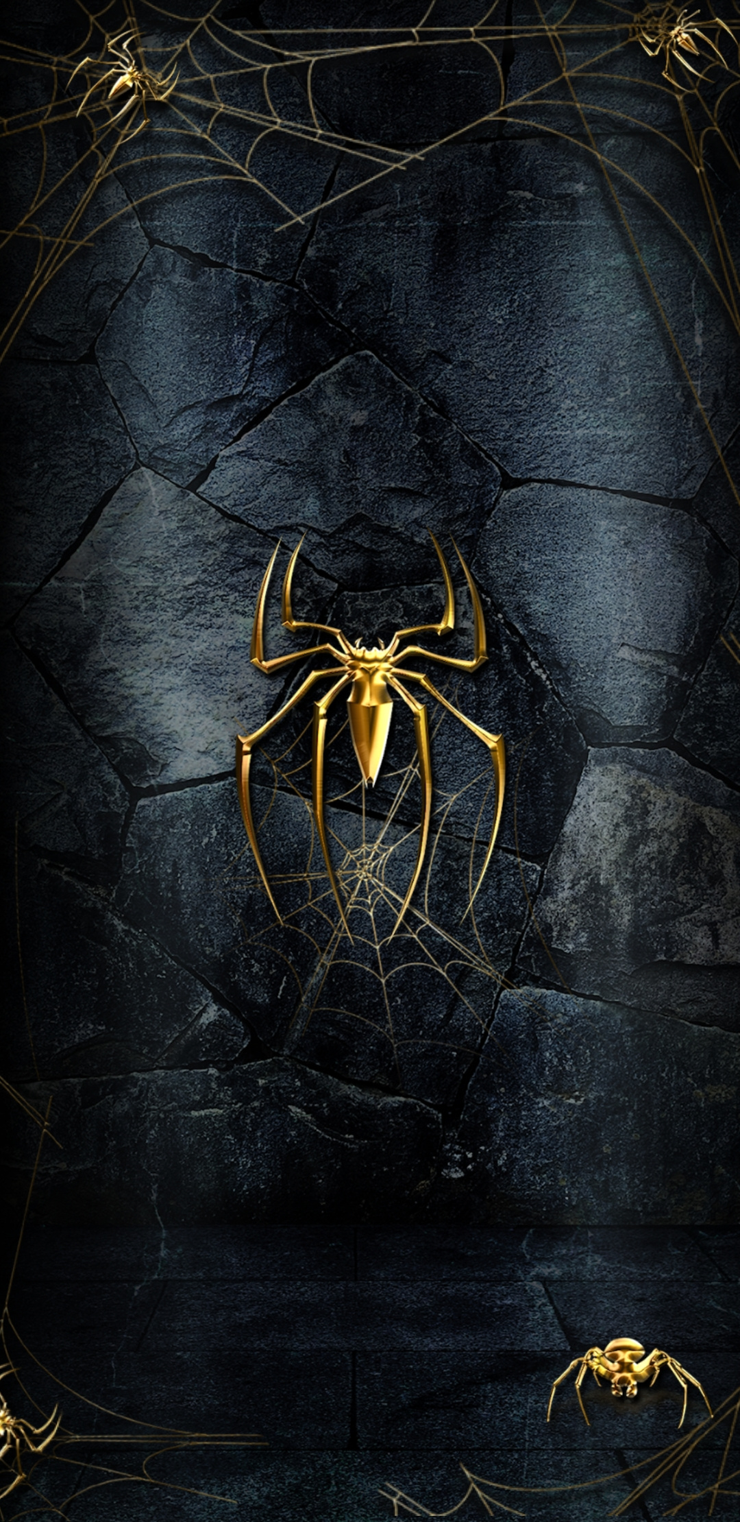 Tranhto24h: Tổng hợp hình ảnh con nhện đẹp nhất, 1080x2220px