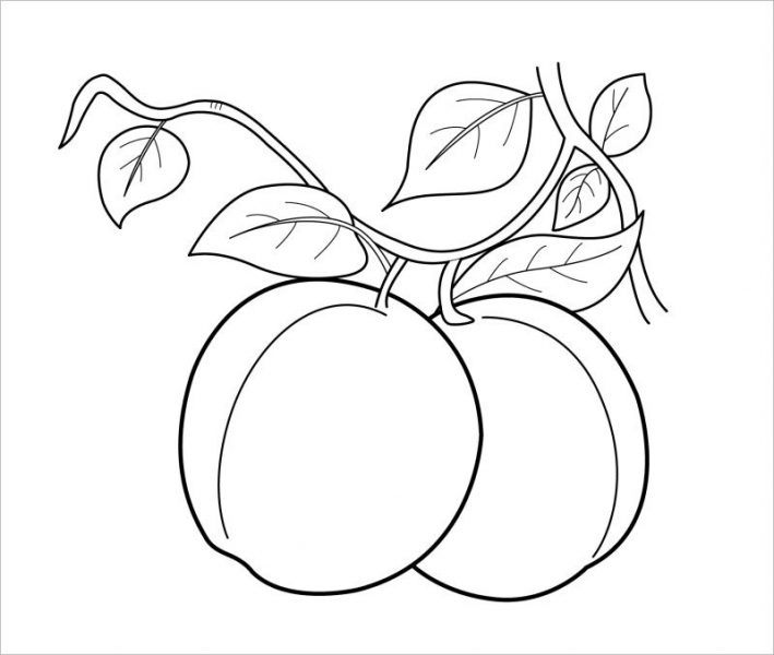 Tranhto24h: Tranh tô màu trái cây quả đào, 709x600px