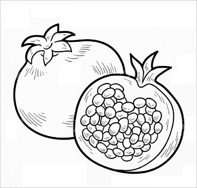 Tranhto24h: Tranh tô màu trái cây quả lựu nhiều hạt, 628x600px
