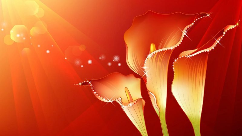 Tranhto24h: background đỏ hoa loa kèn, 800x450px