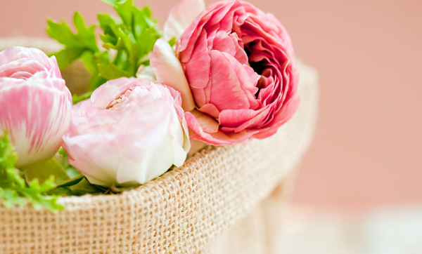 Tranhto24h: Tải ảnh hoa hồng đẹp về điện thoại miên phí đẹp nhất thế giới, 600x362px