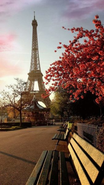 Tranhto24h: Ảnh tháp Eiffel với những chiếc ghế gỗ, 337x600px