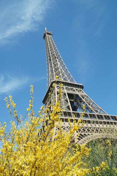 Tranhto24h: Ảnh tháp Eiffel đầy mộng mơ, 400x600px