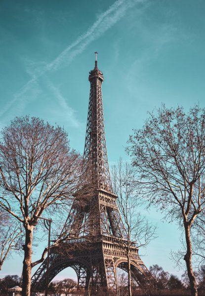 Tranhto24h: Hình ảnh tháp Eiffel vói những cây rụng lá, 415x600px