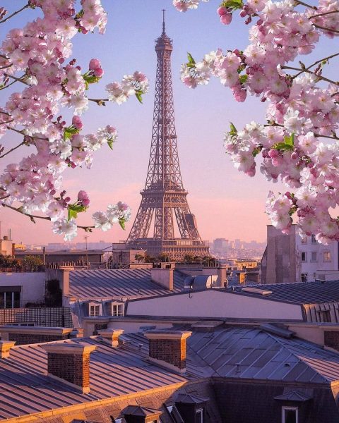 Tranhto24h: Hình ảnh tháp Eiffel đầy thơ mộng, 480x600px