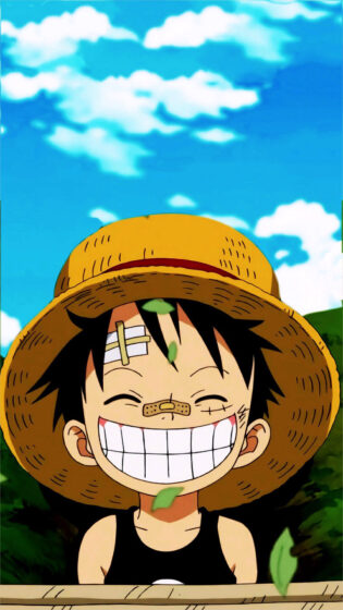 Tranhto24h: Hình ảnh Luffy cười đẹp, 315x560px