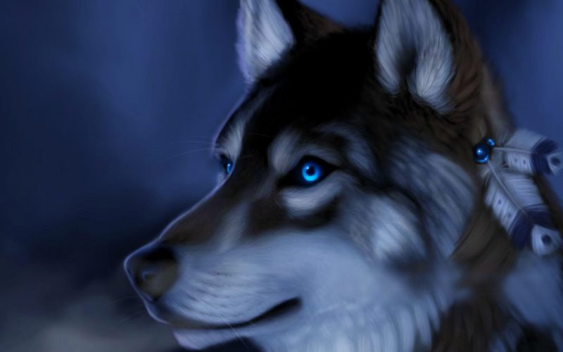 Tranhto24h: Hình nền sói 3d mắt xanh, 800x500px