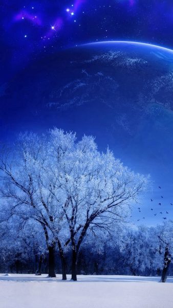 Tranhto24h: Hình nền mùa đông cây và mặt trăng, 338x600px