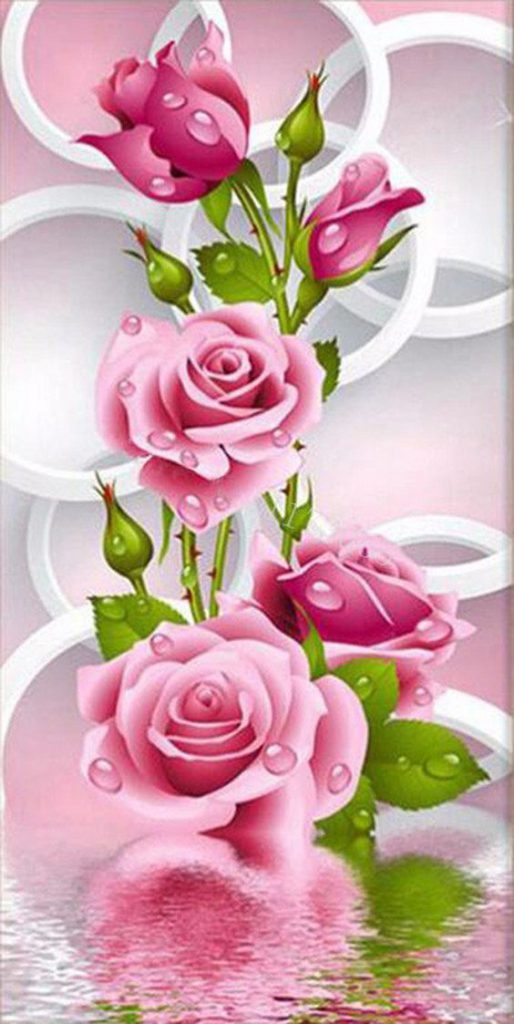 Tranhto24h: Hình nền hoa hồng đẹp, 514x1024px