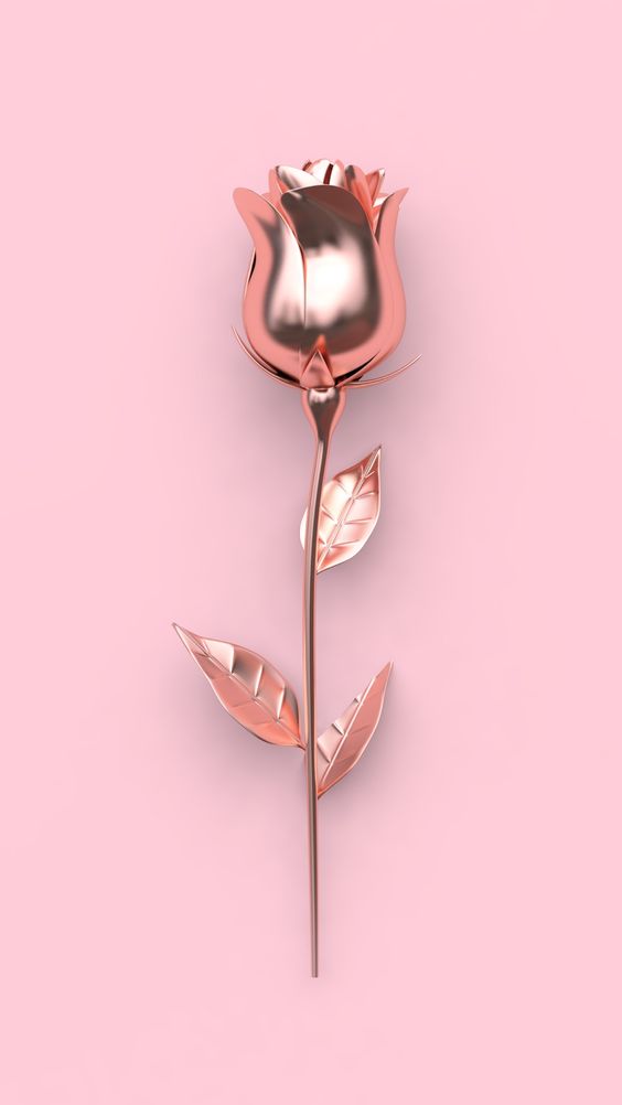Tranhto24h: Hình nền hoa hồng 3D đẹp, 564x1002px