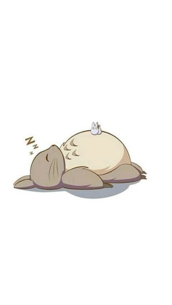 Tranhto24h: Hình nền Totoro nằm ngủ, 338x600px