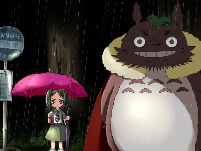 Tranhto24h: Hình nền Totoro độc đáo, 800x600px