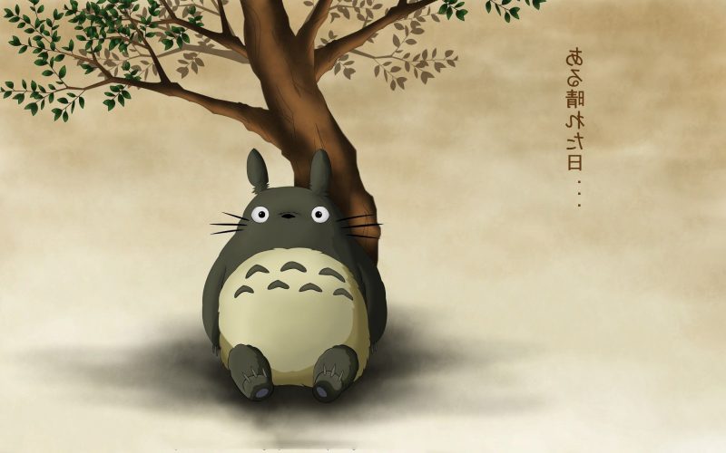 Tranhto24h: Totoro Desktop Wallpaper, 800x500px