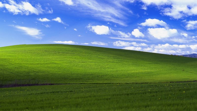 Tranhto24h: Hình nền cỏ xanh dành cho máy tính, 800x450px