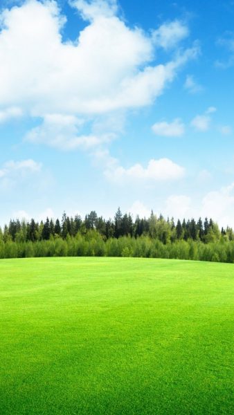 Tranhto24h: hình nền bãi cỏ xanh đẹp, 338x600px
