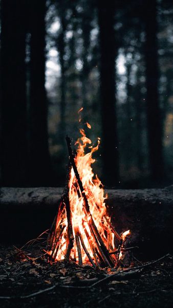 Tranhto24h: hình nền ngọn lửa trong rừng, 338x600px
