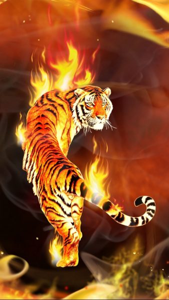 Tranhto24h: hình nền ngọn lửa con hổ mạnh mẽ, 338x600px