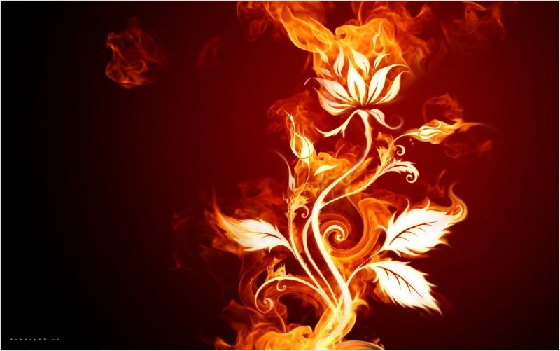 Tranhto24h: hình nền lửa ngọn lửa, 800x501px