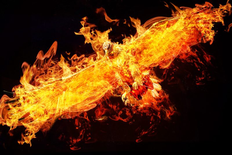 Tranhto24h: hình nền lửa chim đại bàng oai vệ, 800x533px