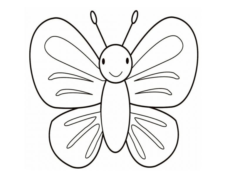 Tranhto24h: Tranh tô màu con vật con bướm bé, 800x600px