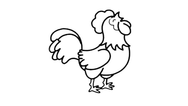 Tranhto24h: Tranh tô màu con vật con gà, 800x450px