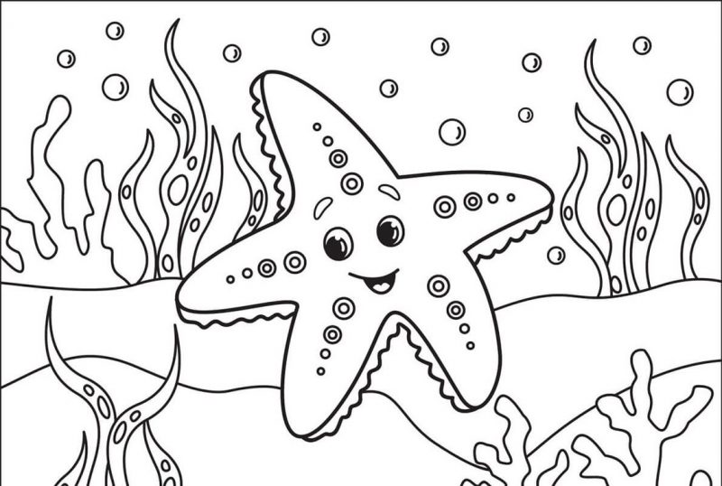 Tranhto24h: Tranh tô màu con vật con sao biển, 800x538px