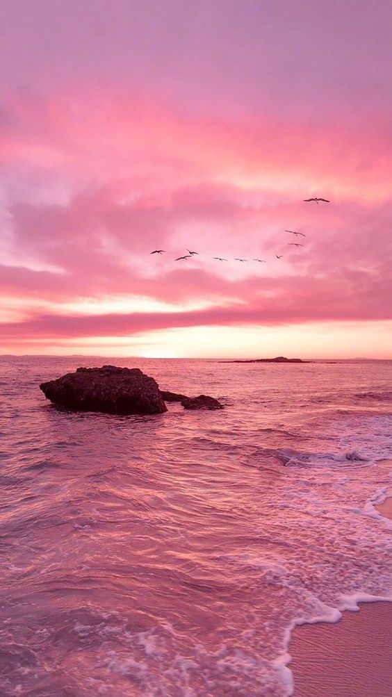 Tranhto24h: Hình nền hoàng hôn màu hồng trên biển đẹp, 564x1003px