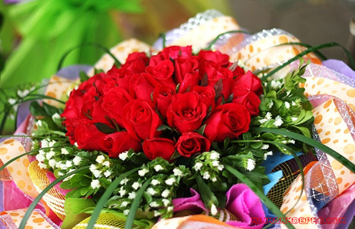 Cùng ngắm 99 đóa hoa hồng đẹp nhất tặng ngày yêu ngày Valentine