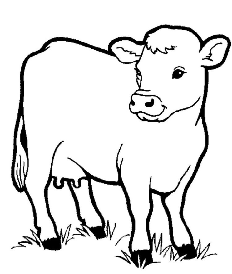 Tuyển tập tranh tô màu con bò cho bé thỏa sức sáng tạo