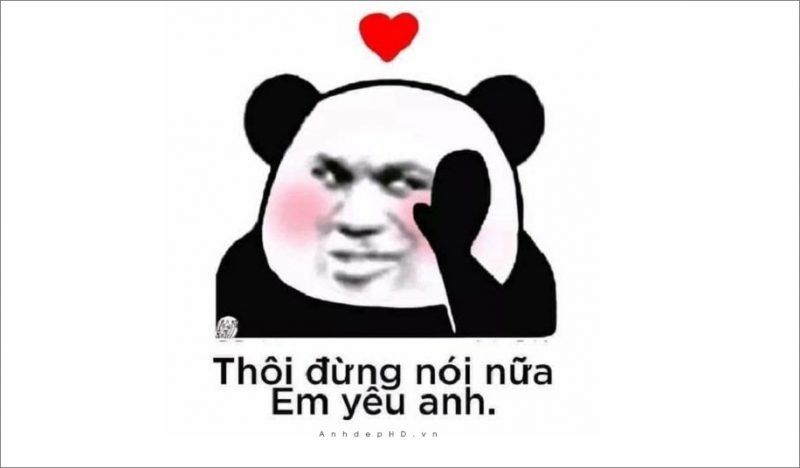 Tranhto24h: Ảnh meme gấu trúc (weibo), 800x468px