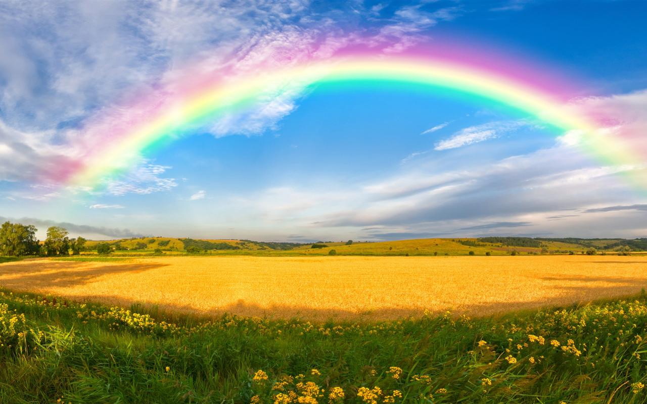 Top 50 Hình nền cầu vồng Rainbow đẹp nhất thế giới