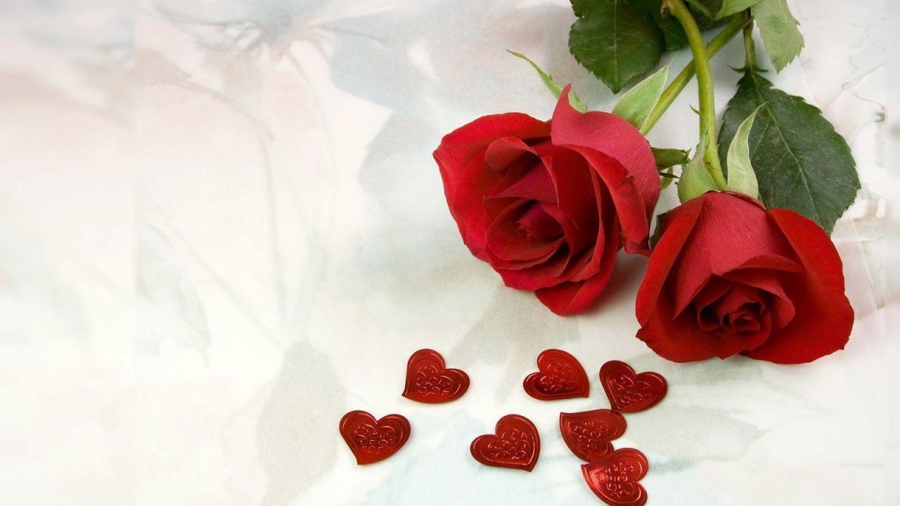 Tranhto24h: Tải ảnh hoa hồng đẹp về điện thoại miên phí đẹp nhất thế giới, 1280x720px