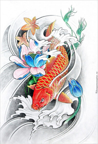 Tranhto24h: Hình vẽ cá Chép cách vẽ cá Chép, 382x560px